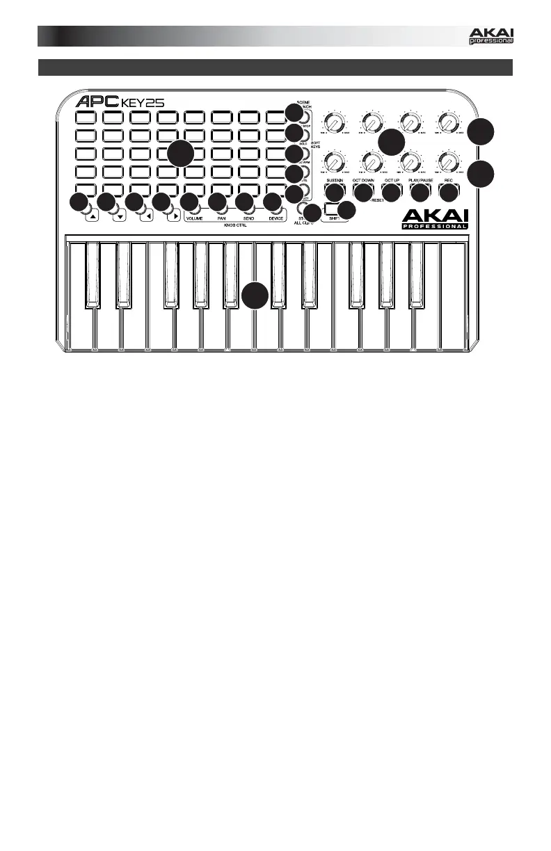 Page #5 background image