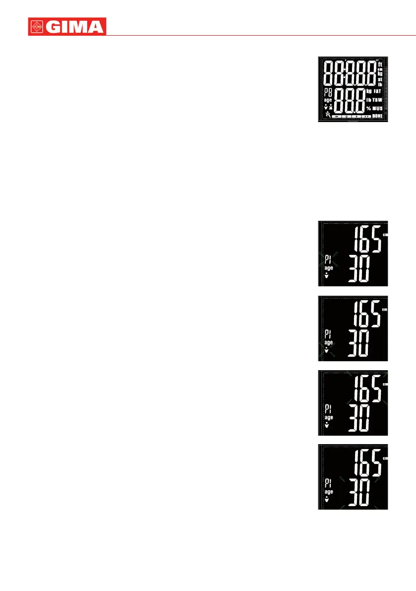 Page #2 background image