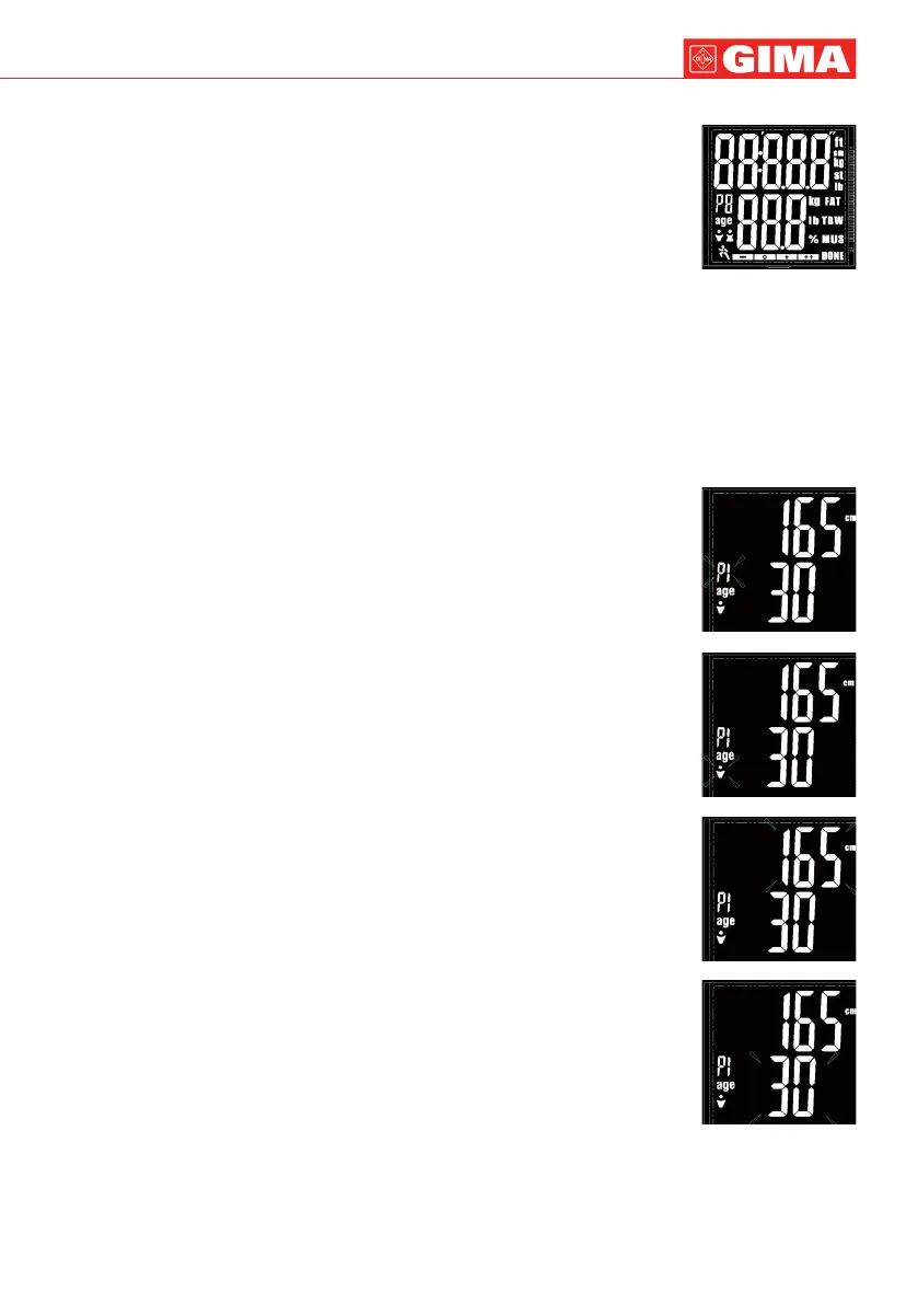 Page #5 background image