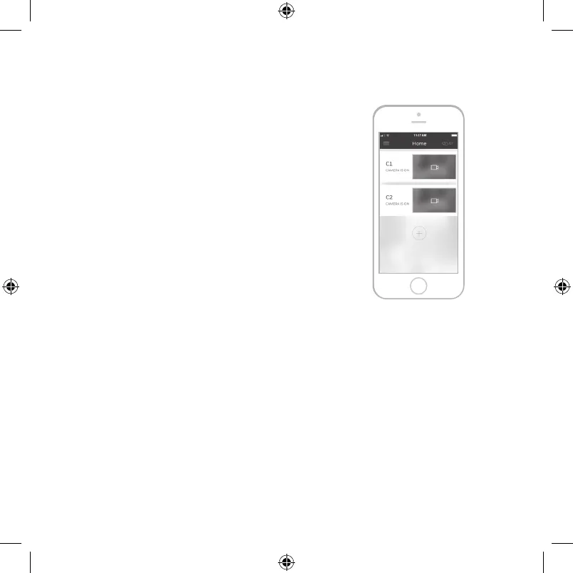 Page #5 background image