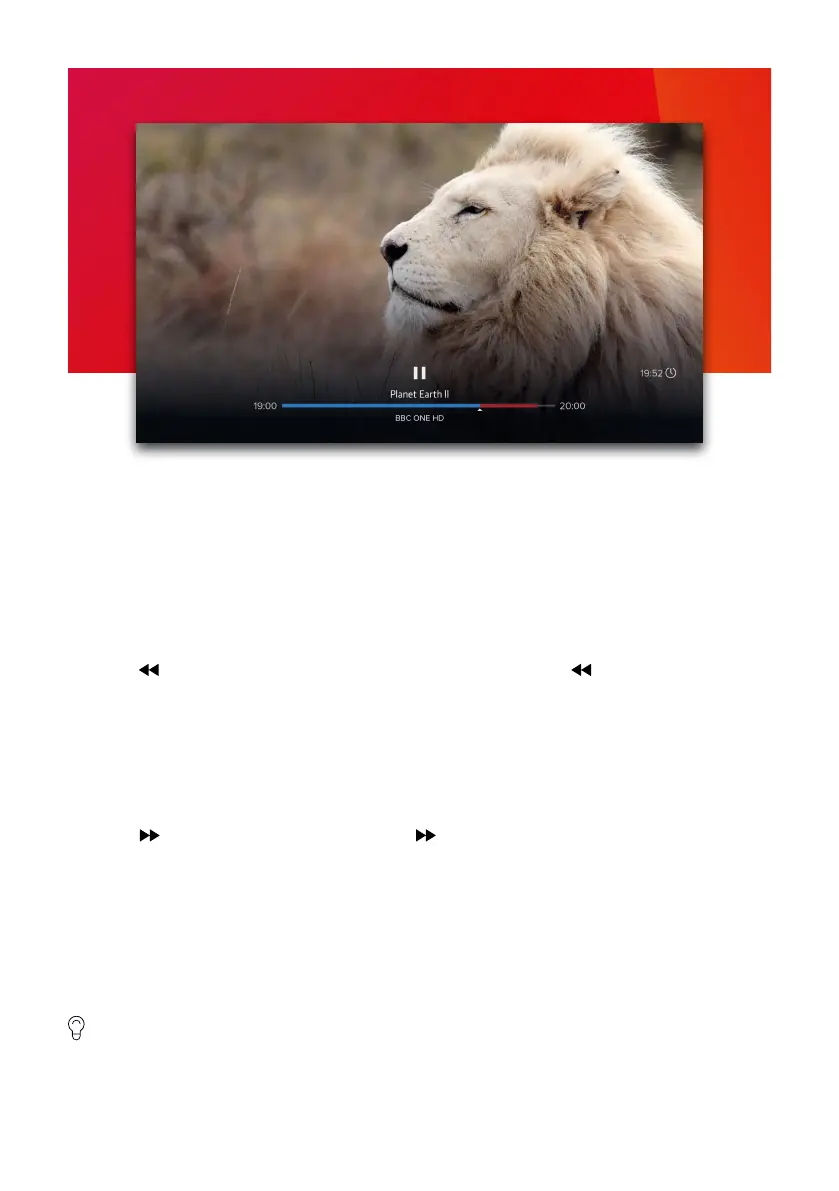 Page #8 background image