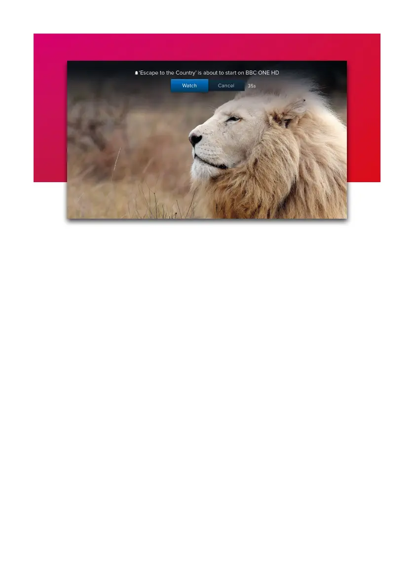 Page #13 background image