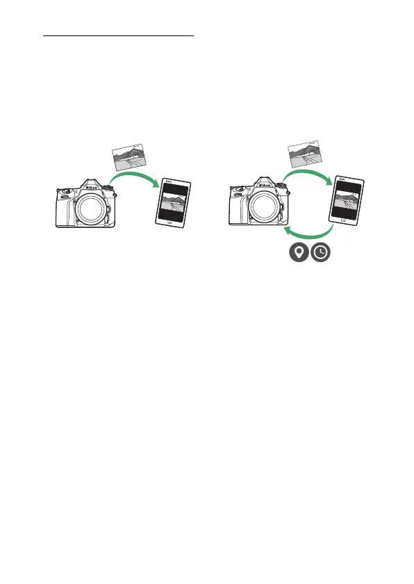 Page #451 background image