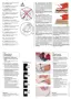 Preview: Quick Start Guide