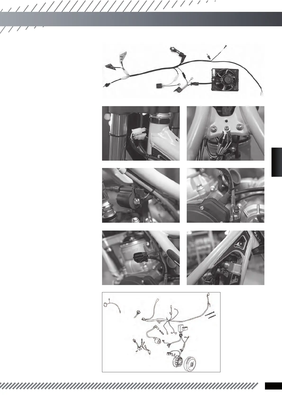 Page #29 background image