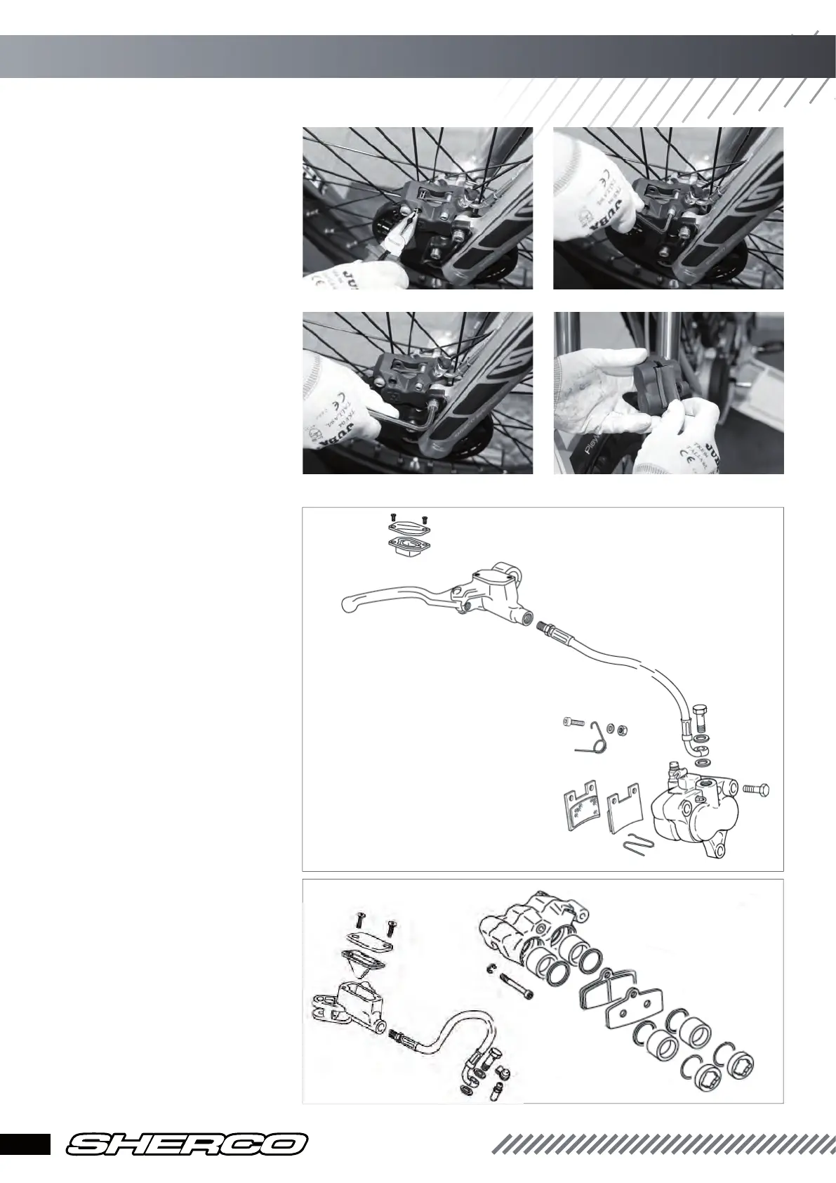 Page #12 background image
