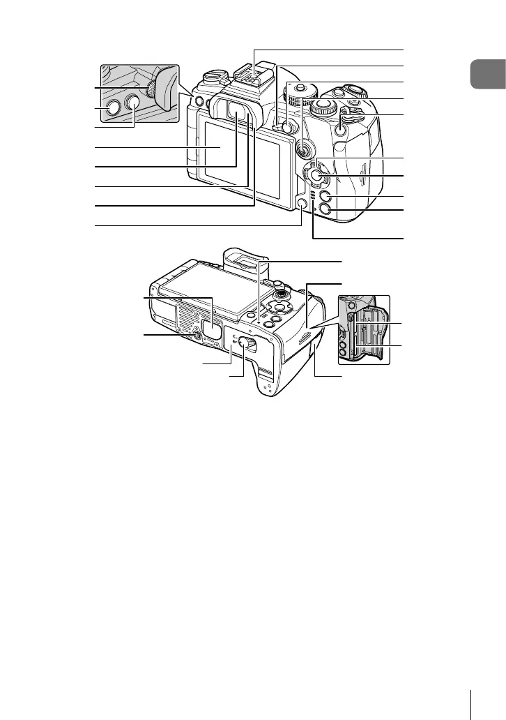 Page #17 background image