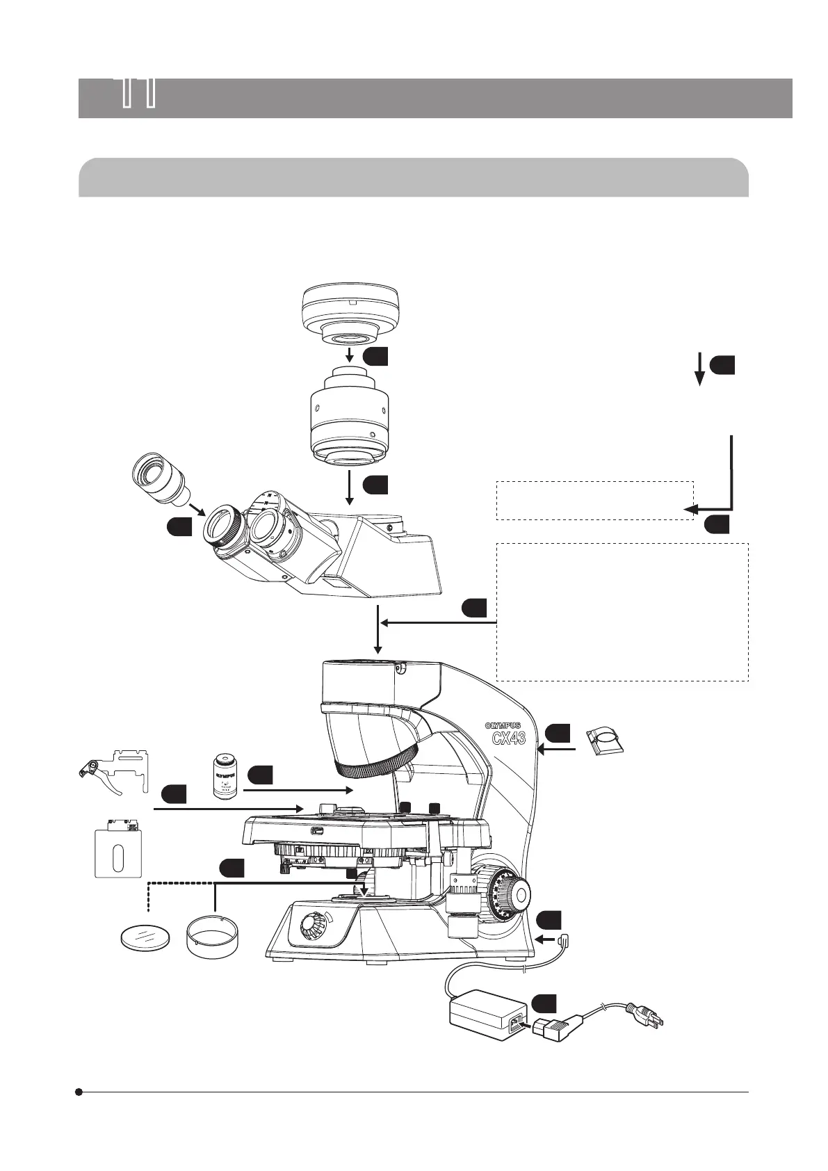 Page #41 background image