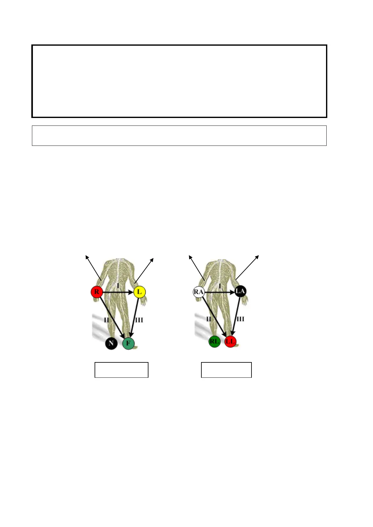Page #224 background image