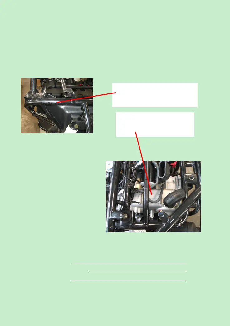 Page #10 background image