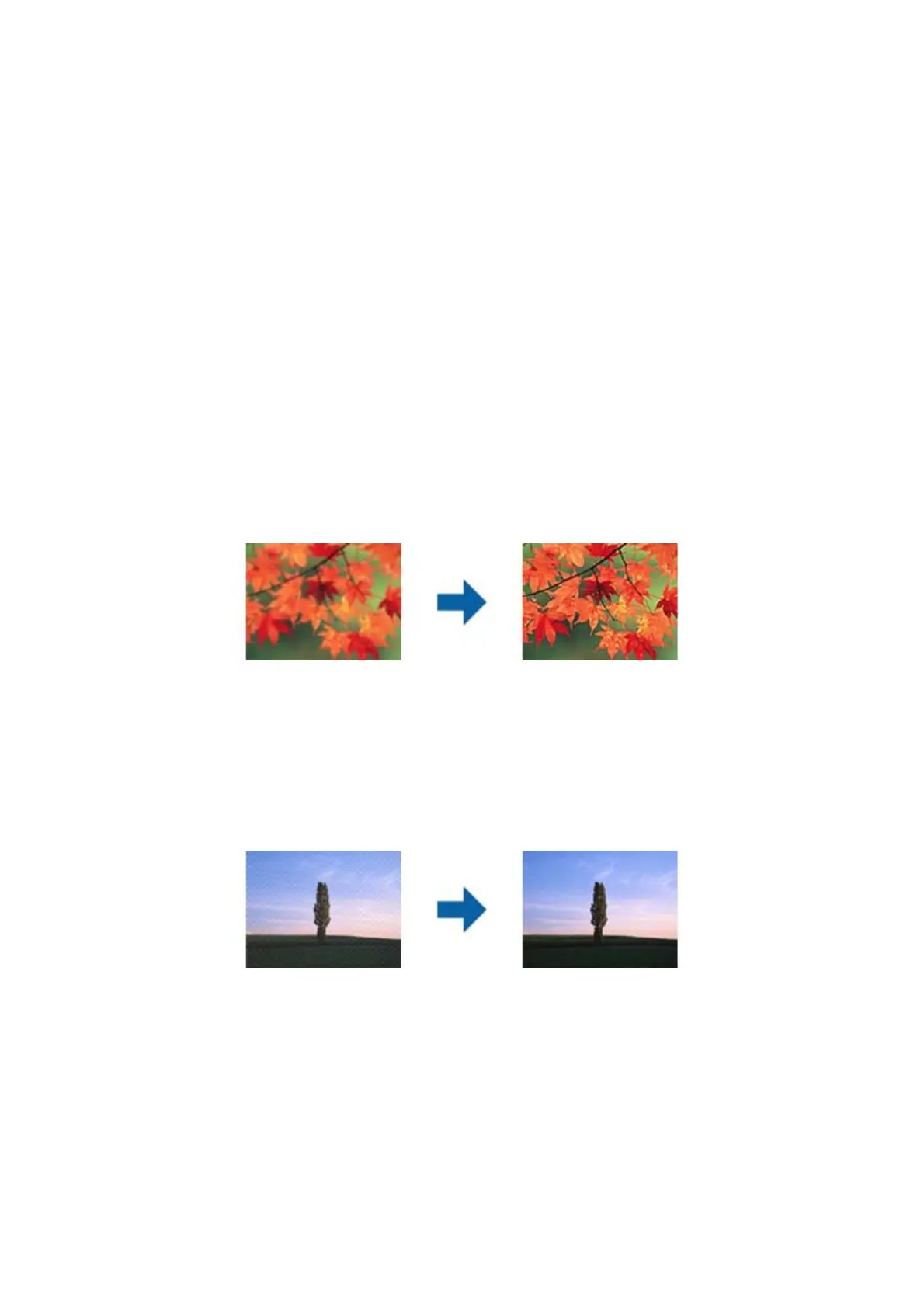 Page #66 background image