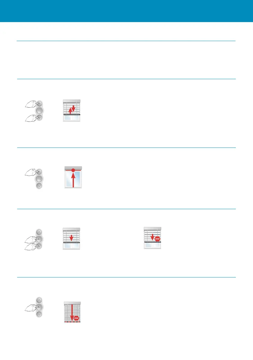 Page #23 background image