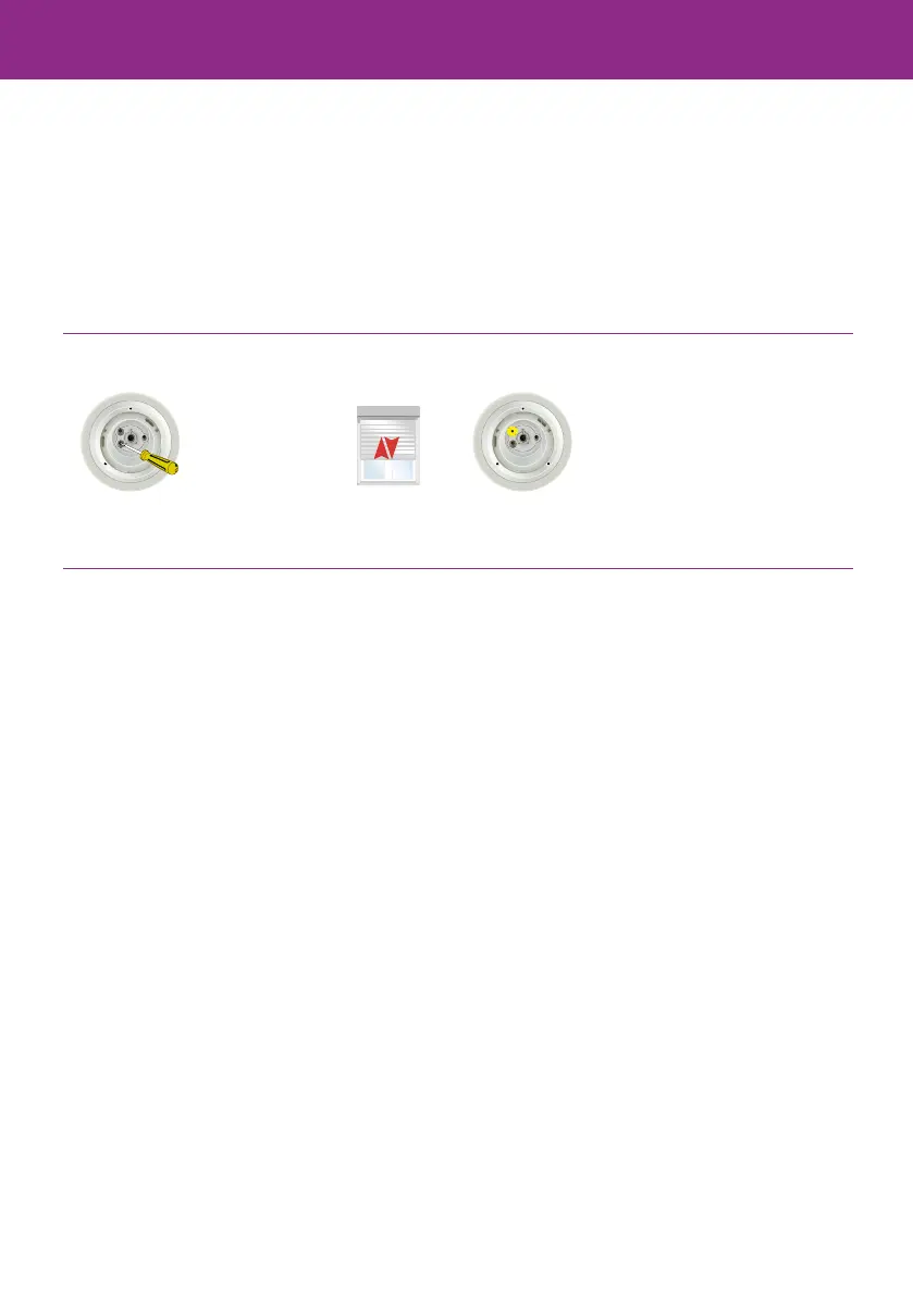 Page #60 background image
