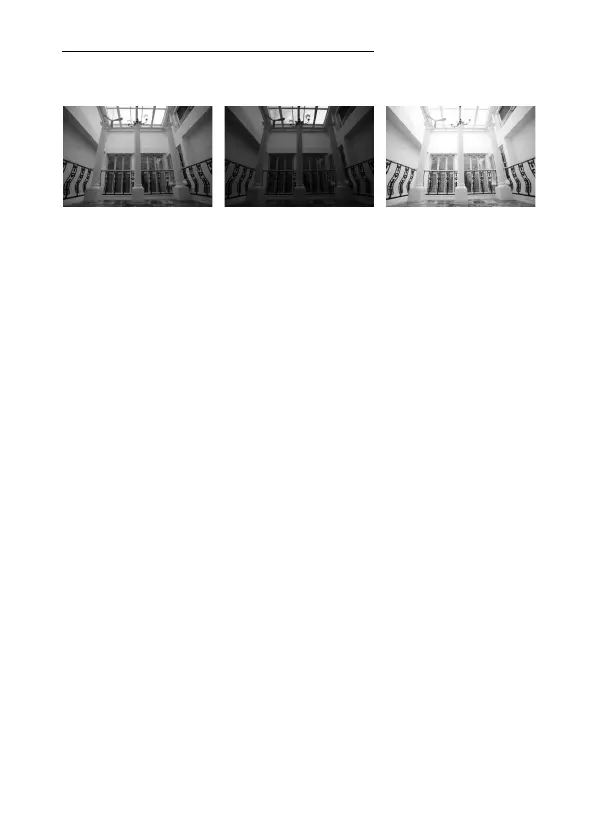Page #303 background image