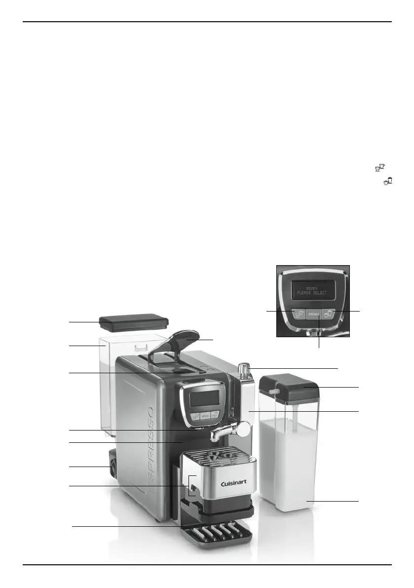 Page #25 background image
