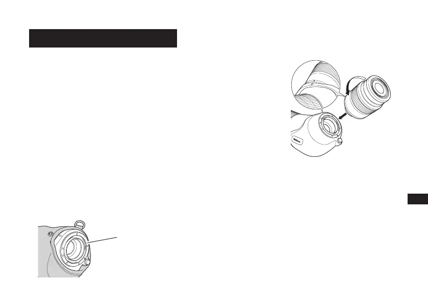 Page #291 background image