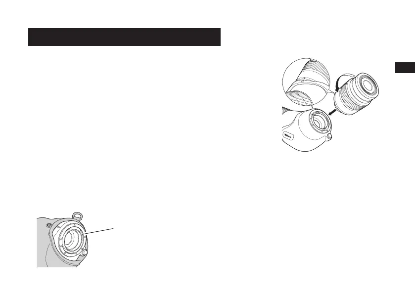 Page #91 background image