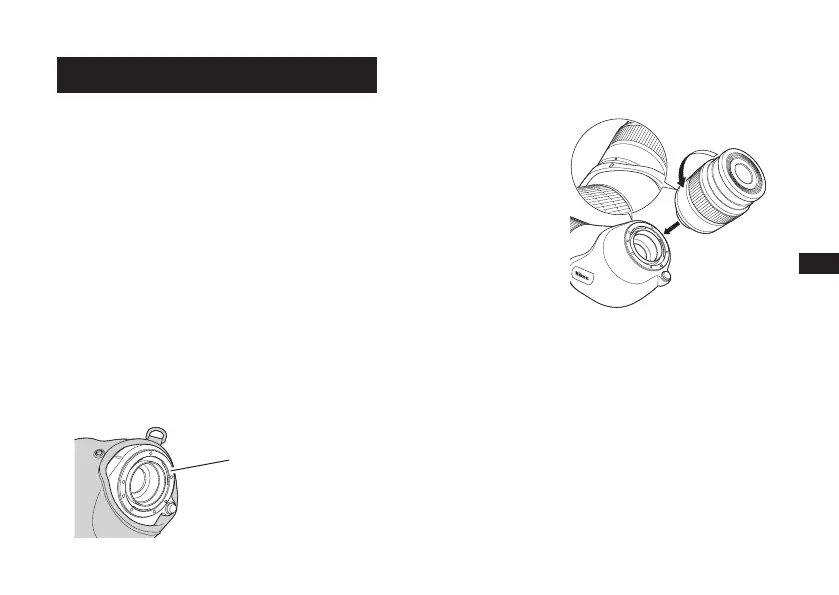 Page #191 background image