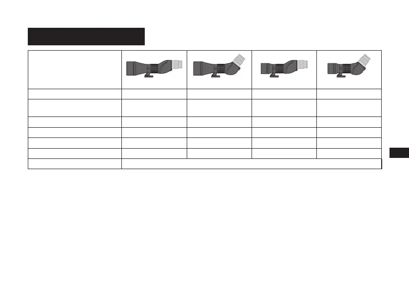 Page #239 background image