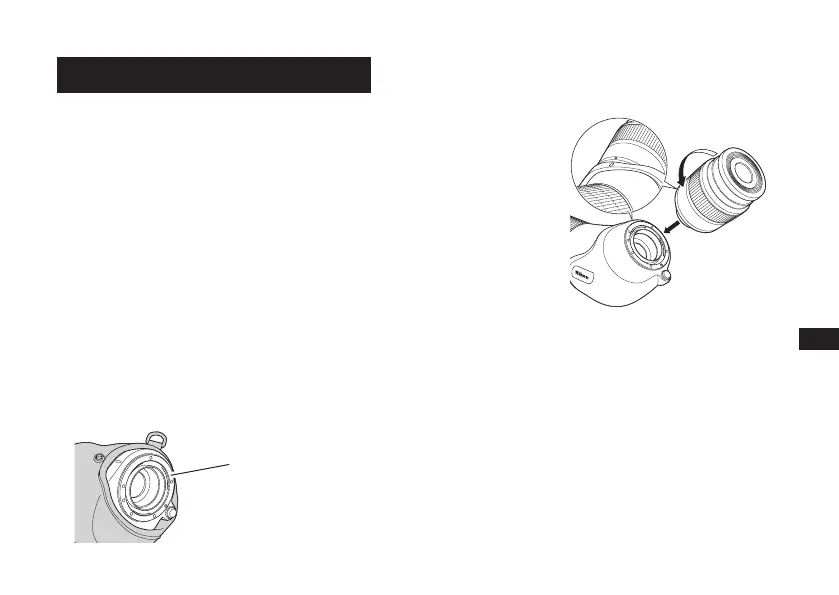 Page #251 background image
