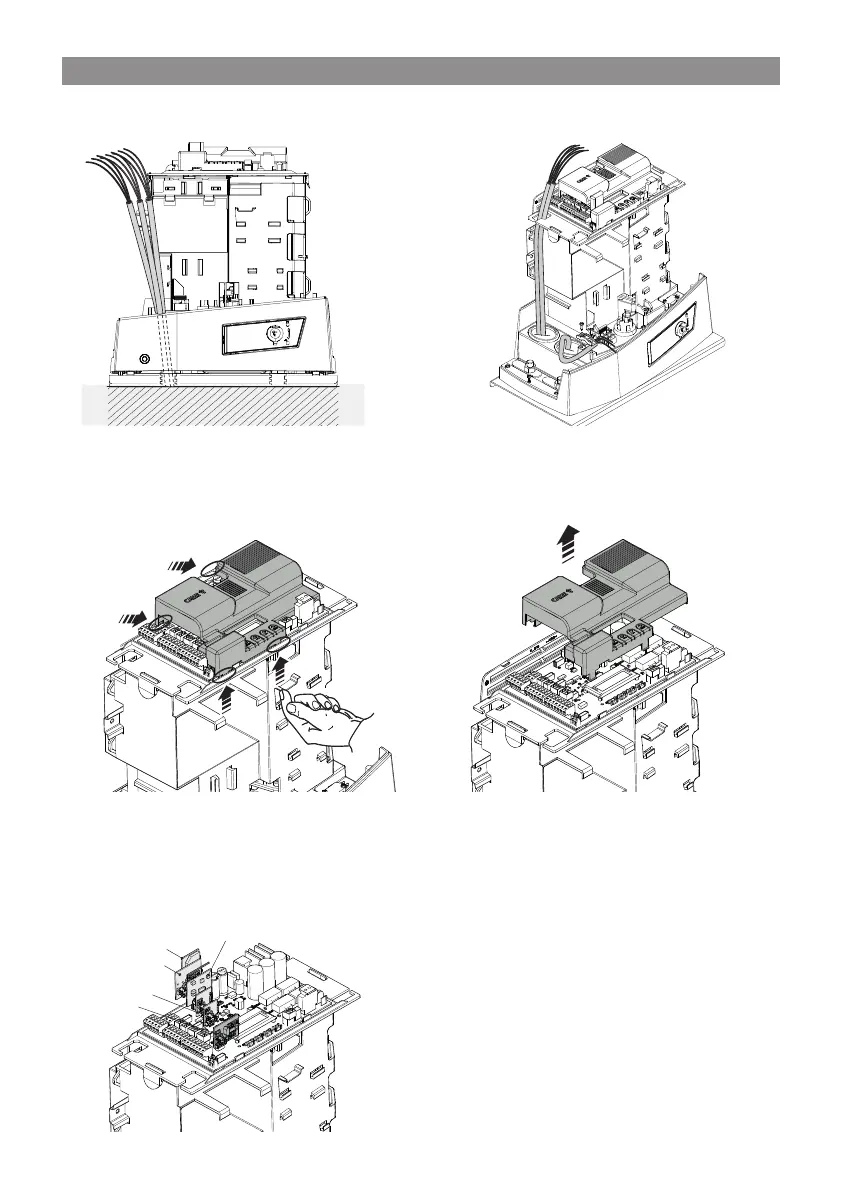 Page #19 background image
