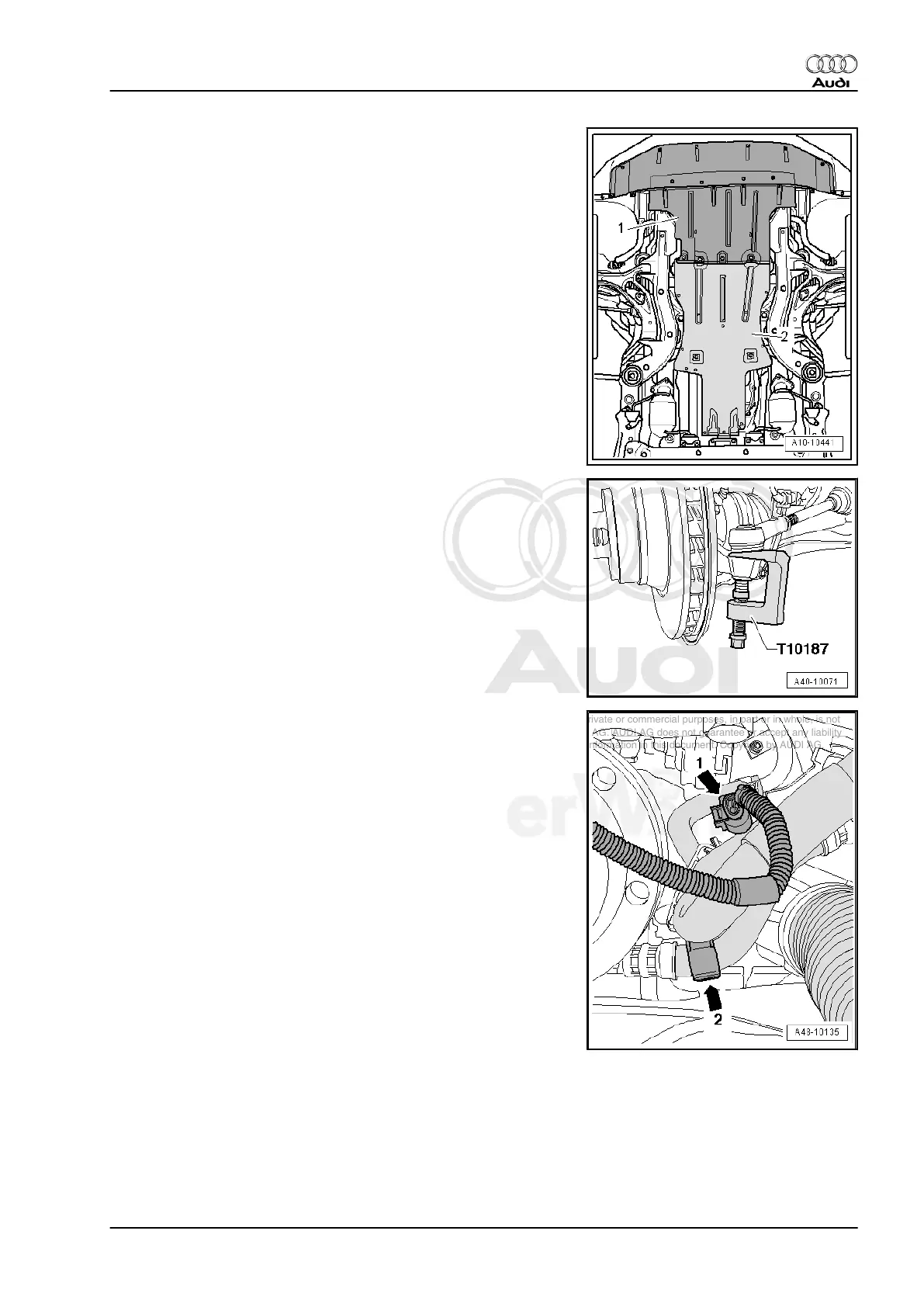 Page #303 background image
