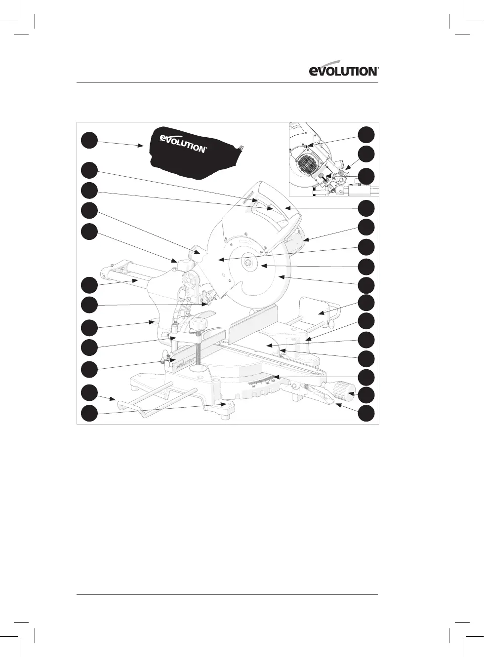 Page #3 background image