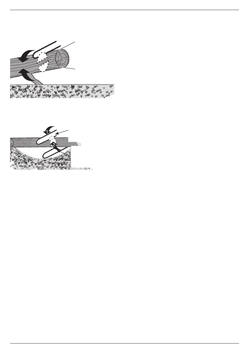 Page #181 background image