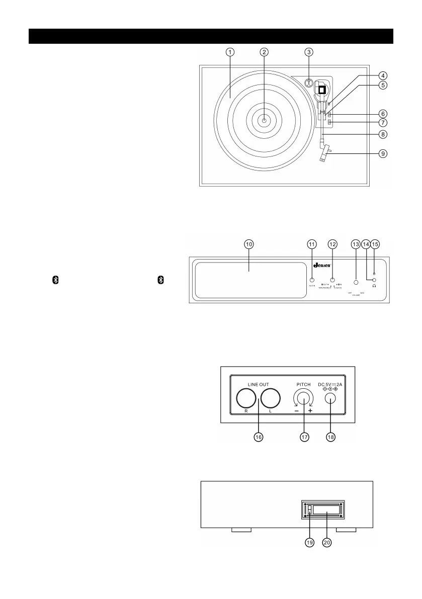 Page #6 background image