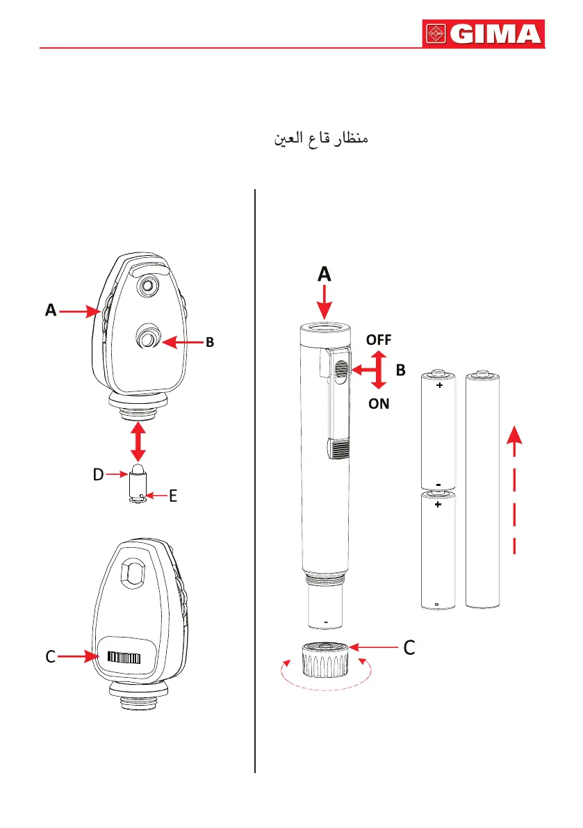 Page #3 background image