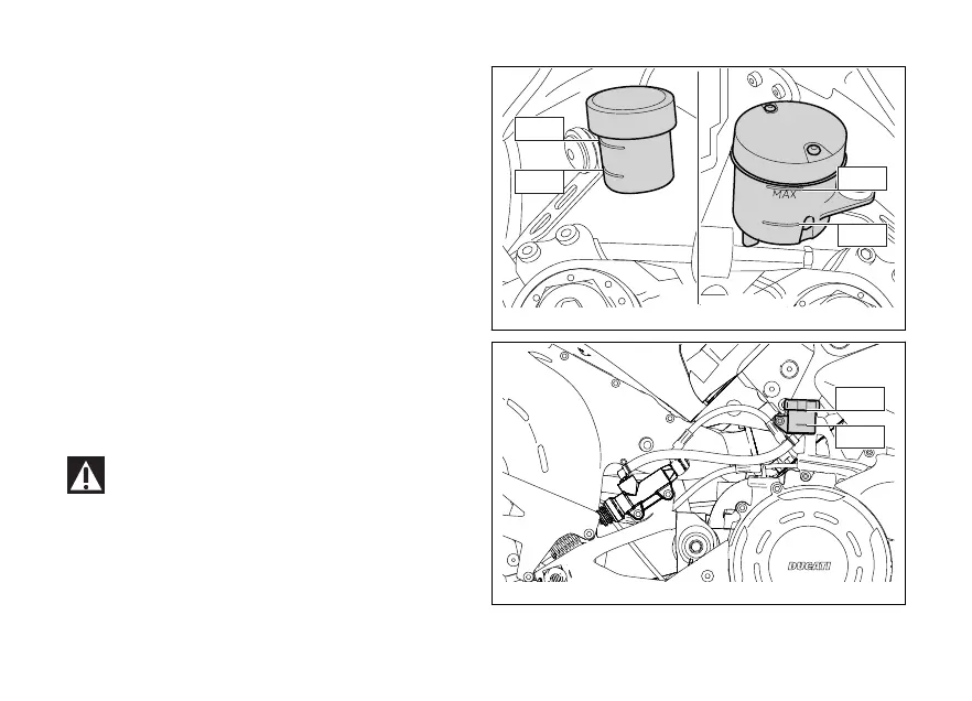Page #303 background image