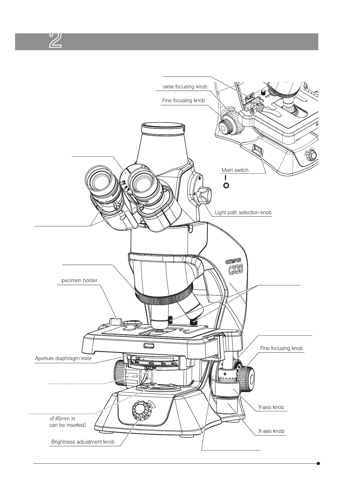 Page #10 background image