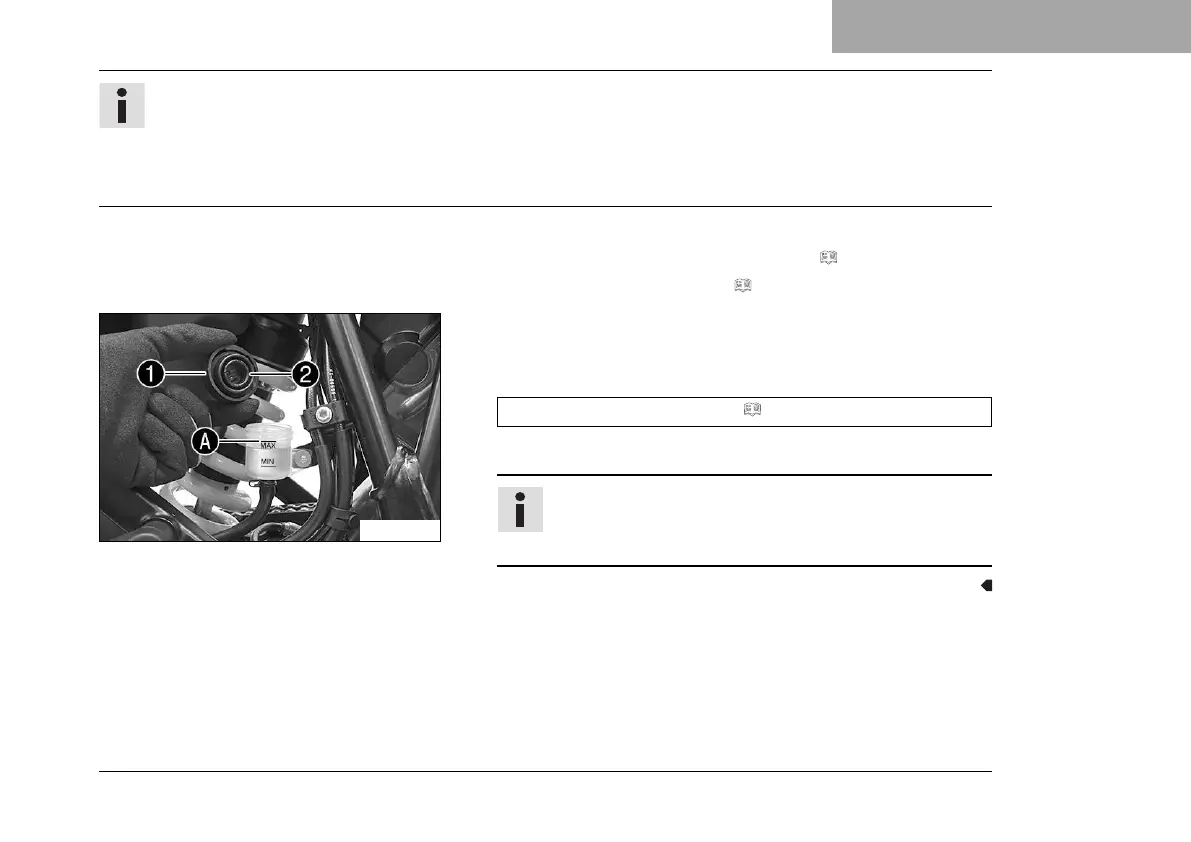 Page #231 background image