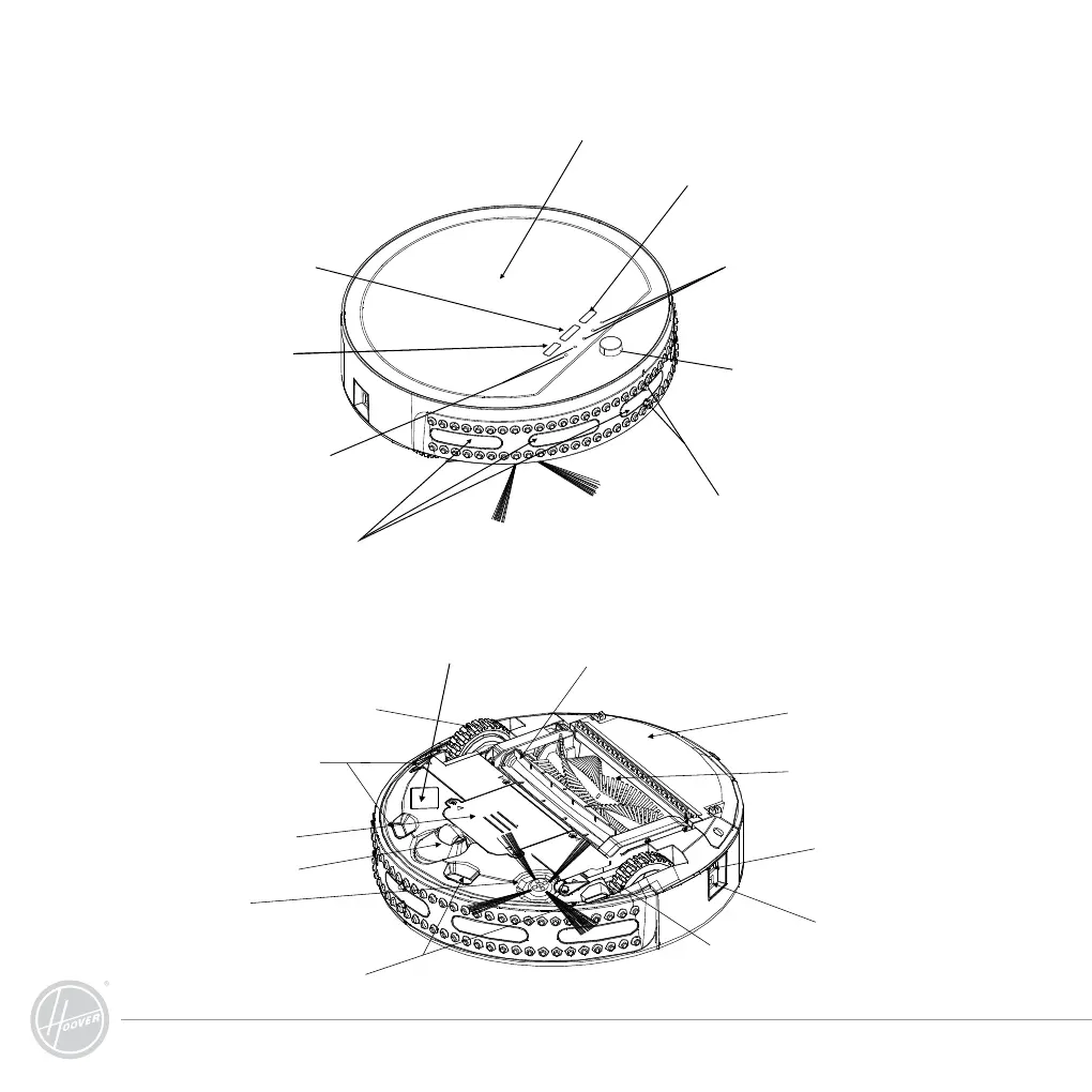Page #4 background image