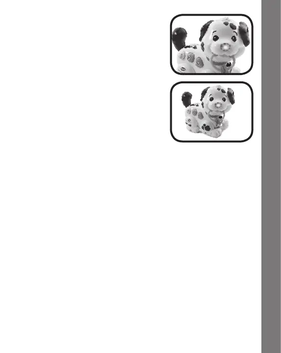 Page #7 background image