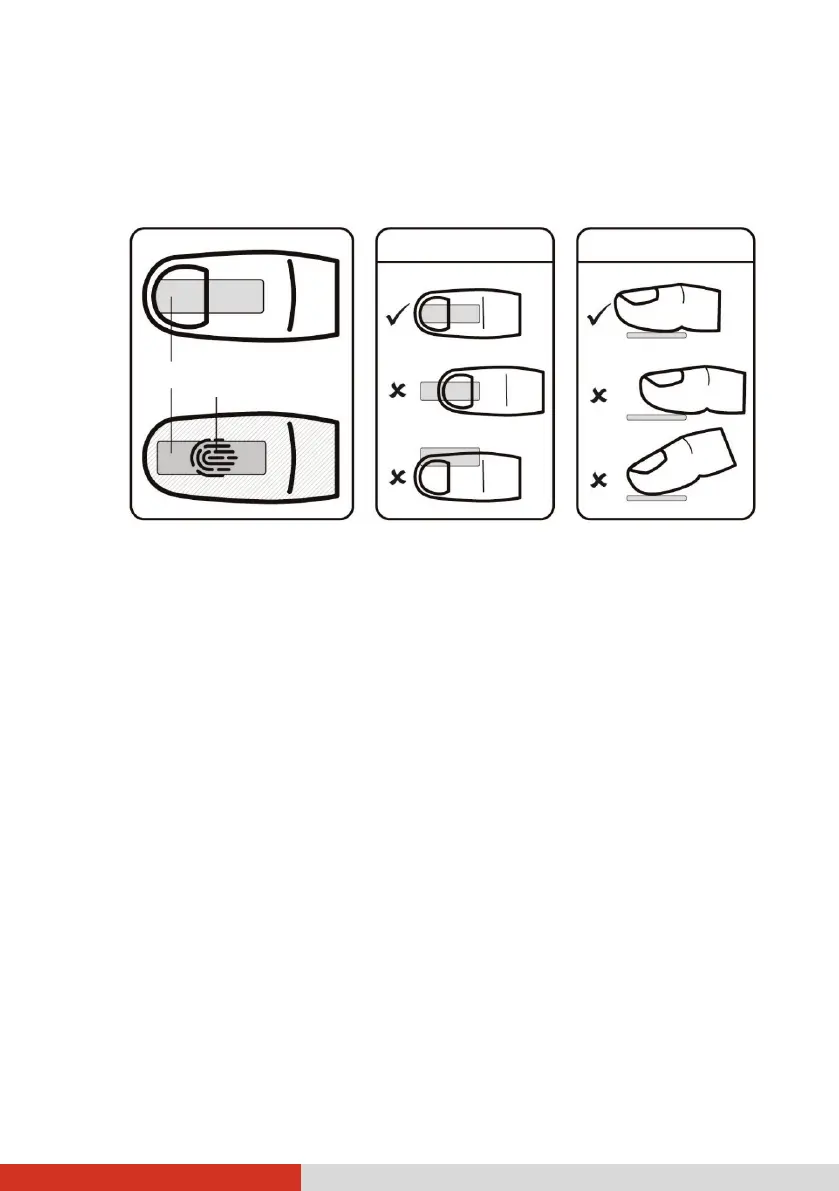 Page #40 background image