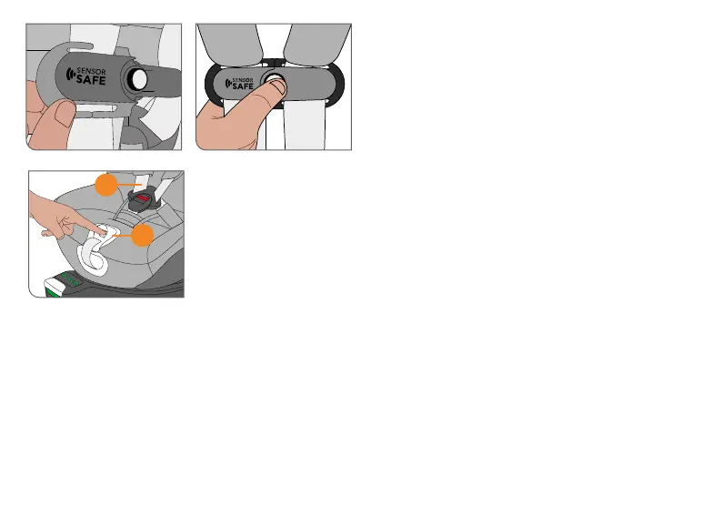 Page #66 background image