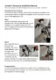Preview: Installation Manual
