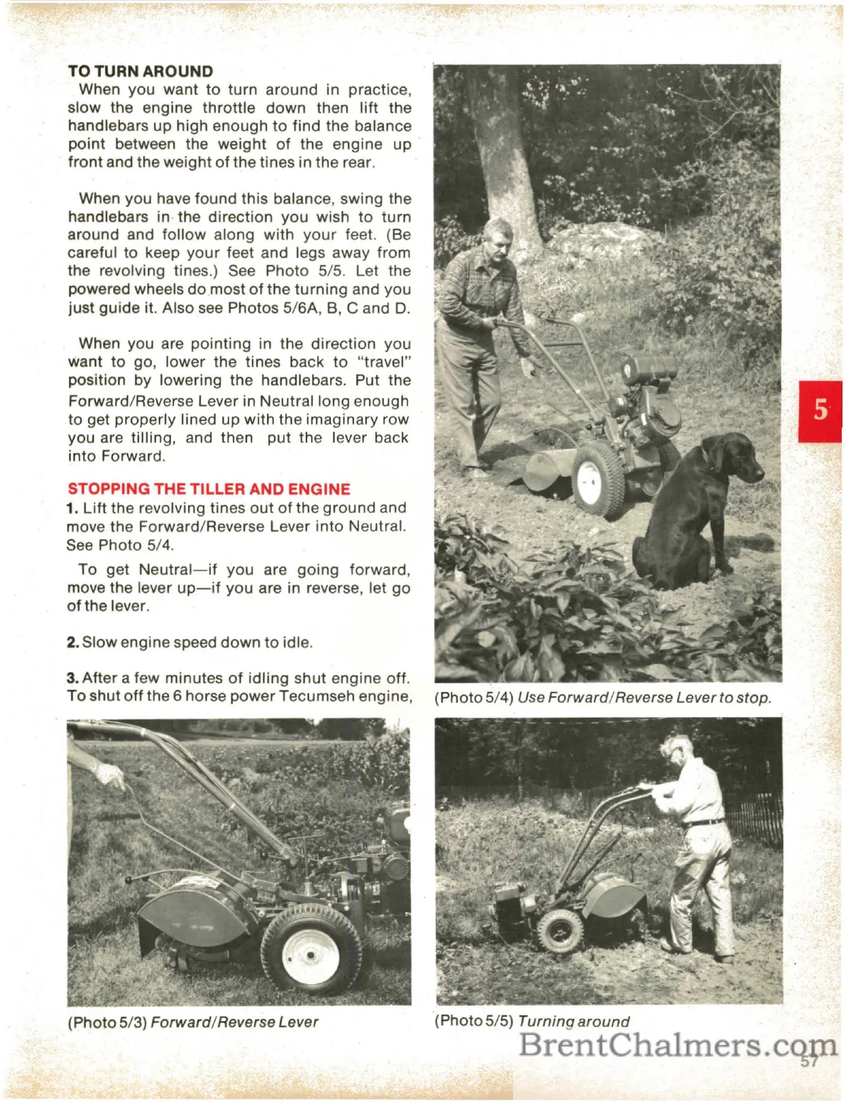 Page #59 background image