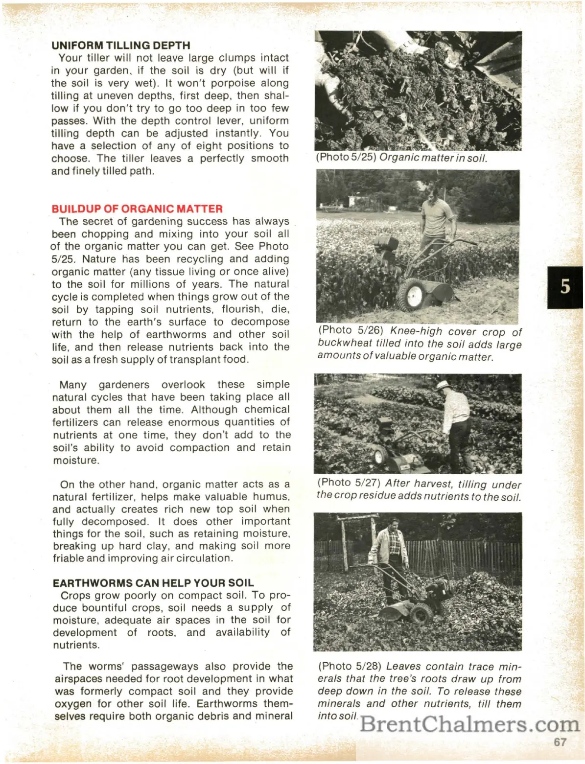 Page #69 background image