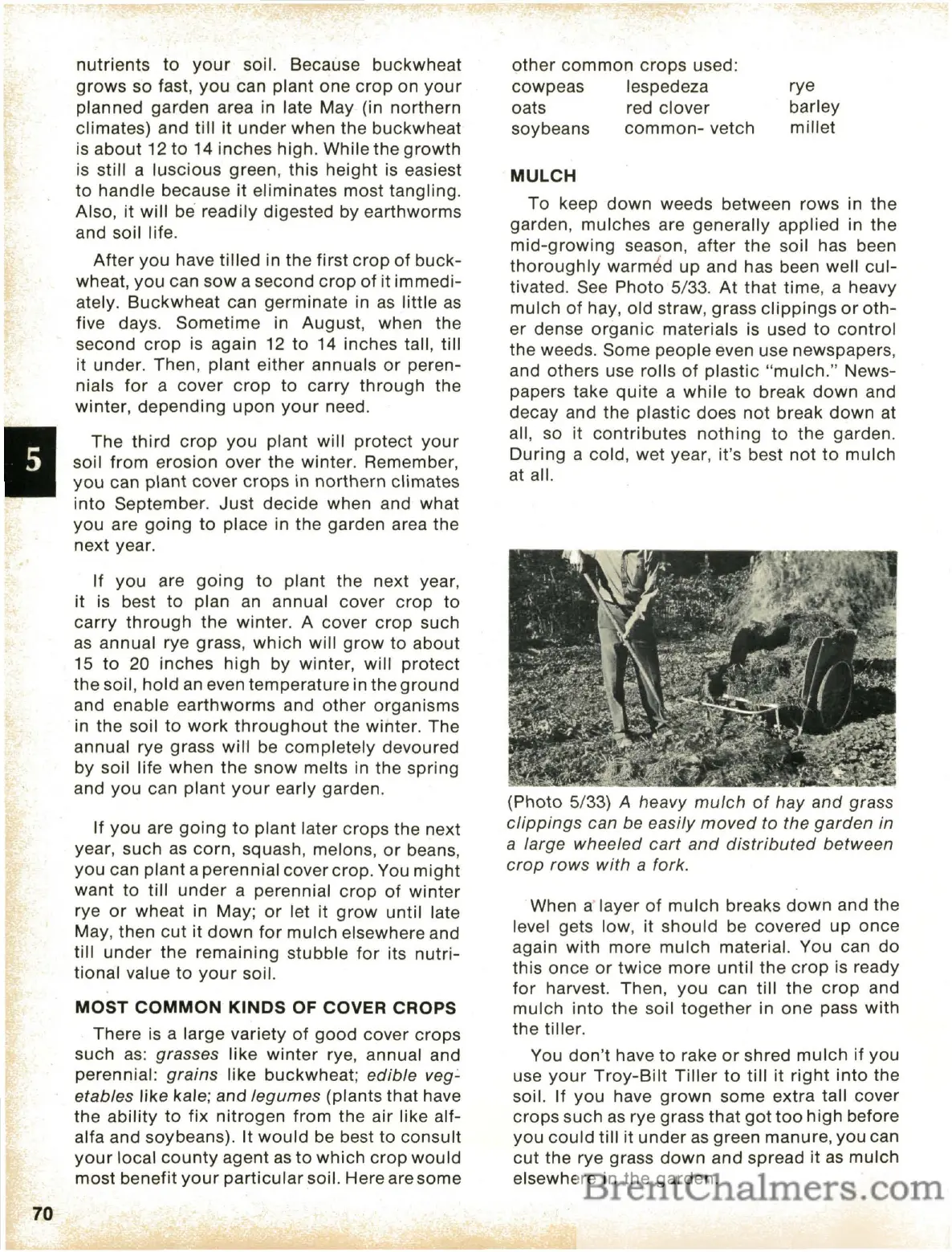 Page #72 background image