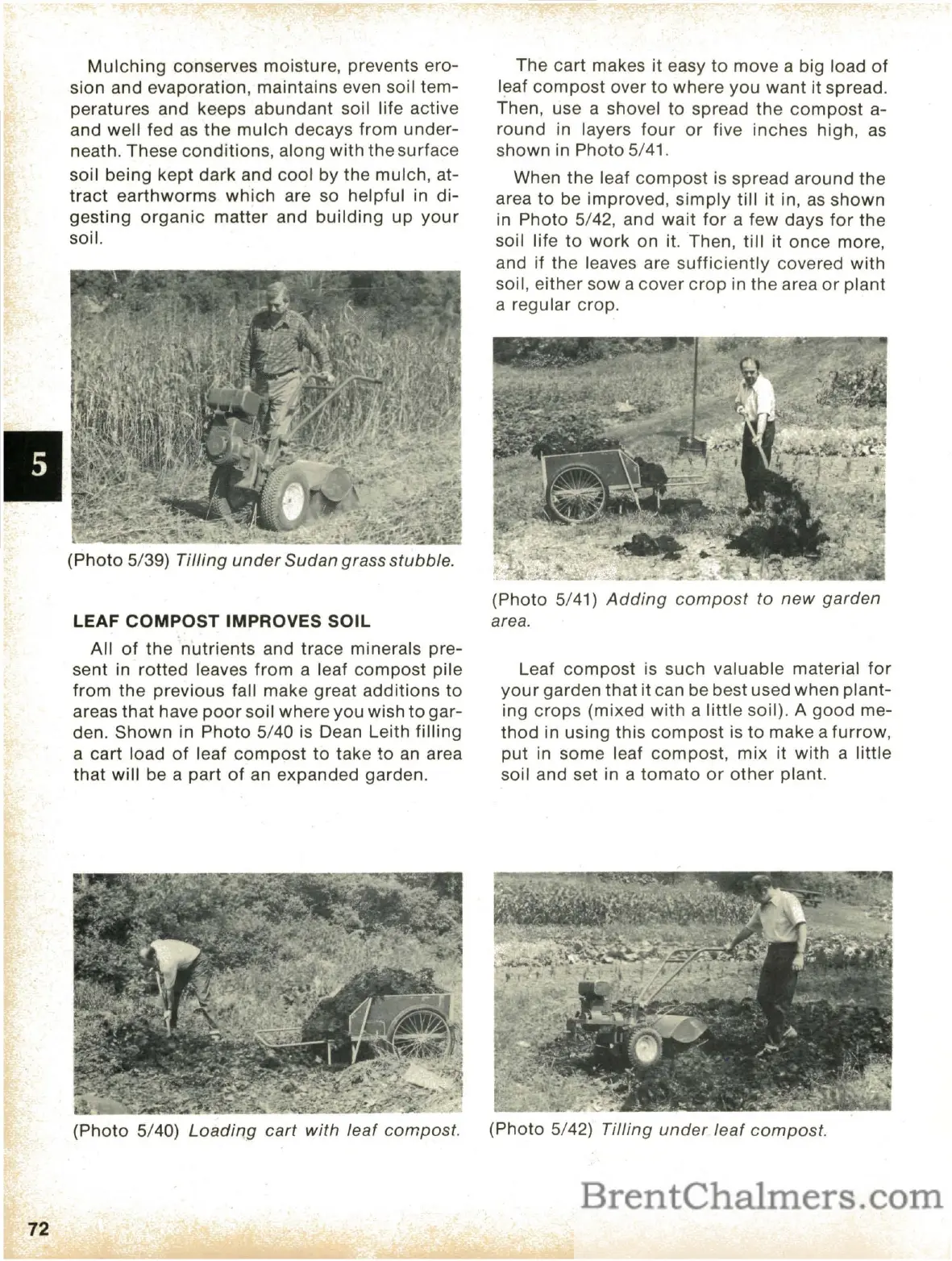 Page #74 background image