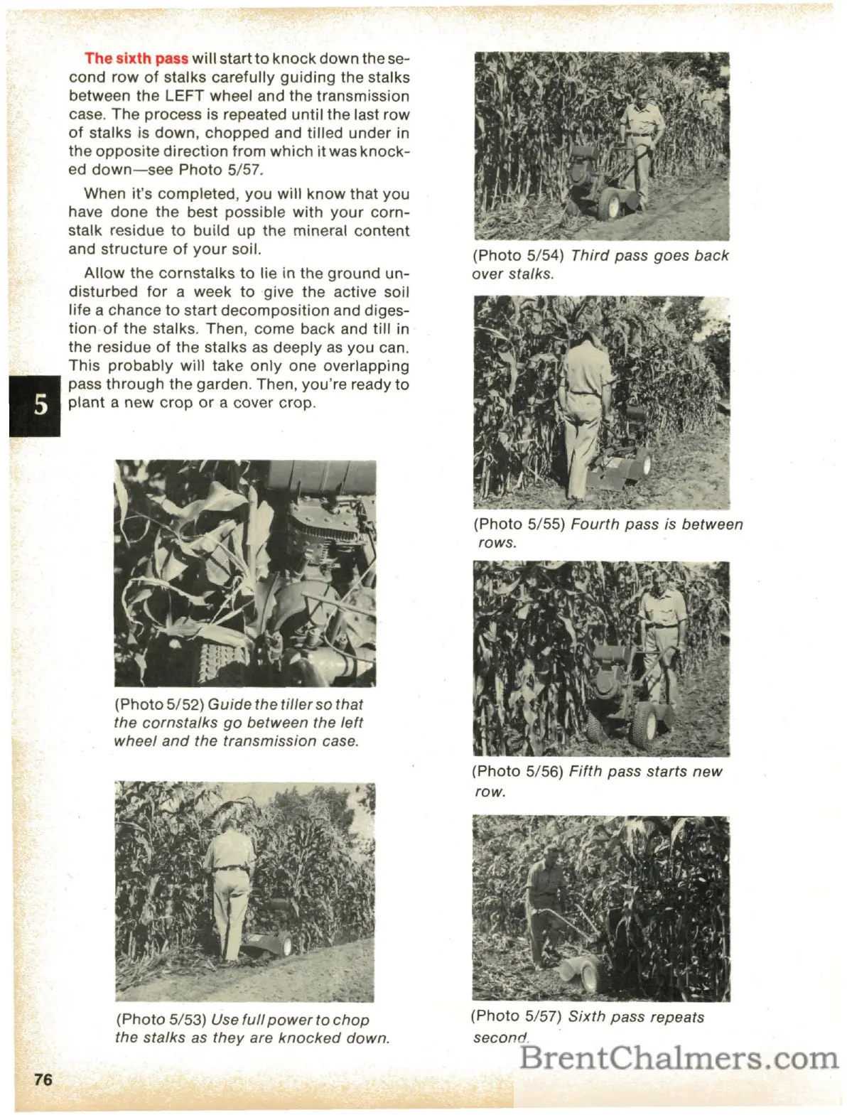 Page #78 background image