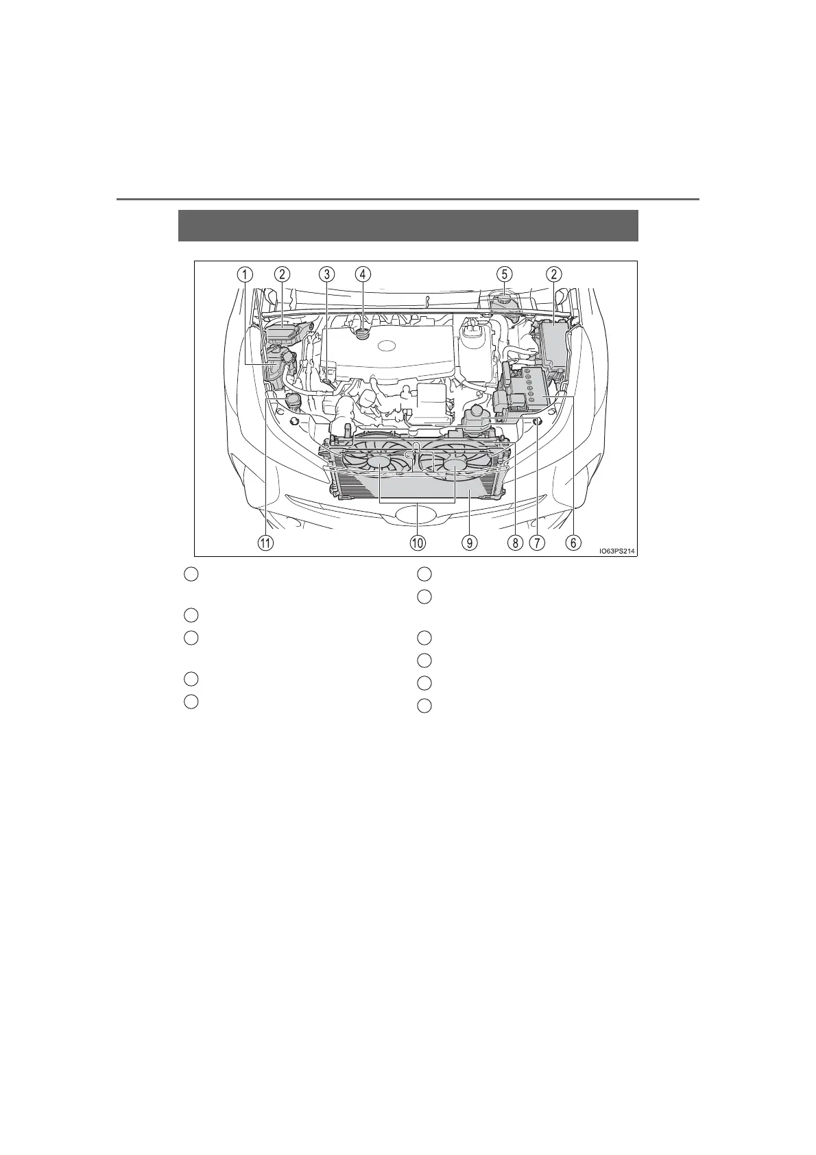 Page #504 background image