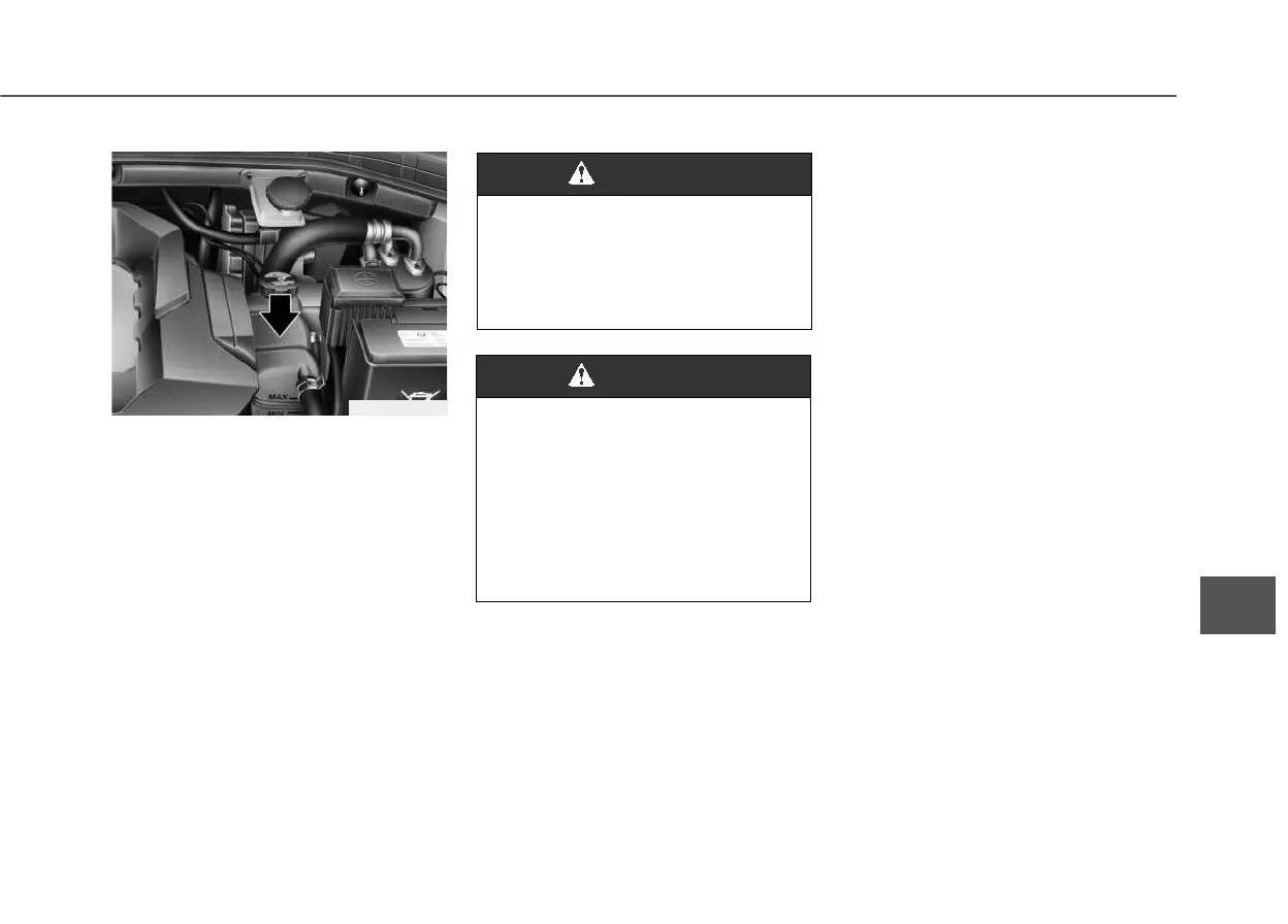 Page #437 background image