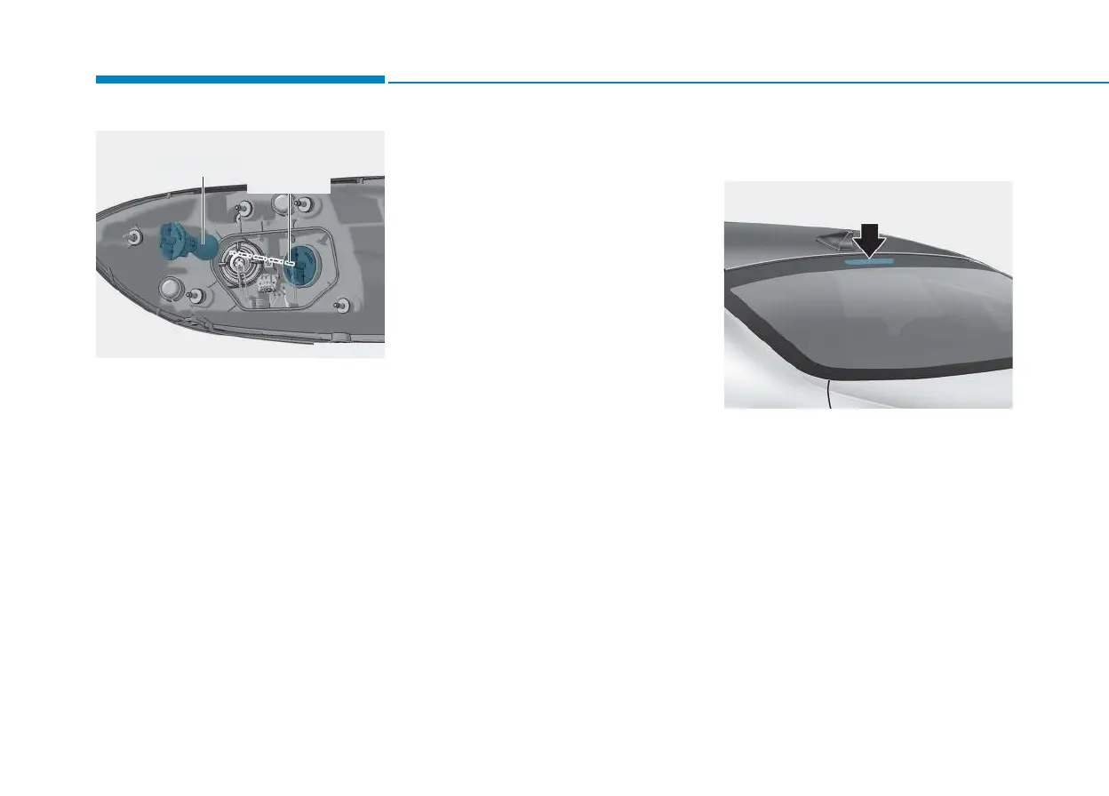 Page #462 background image