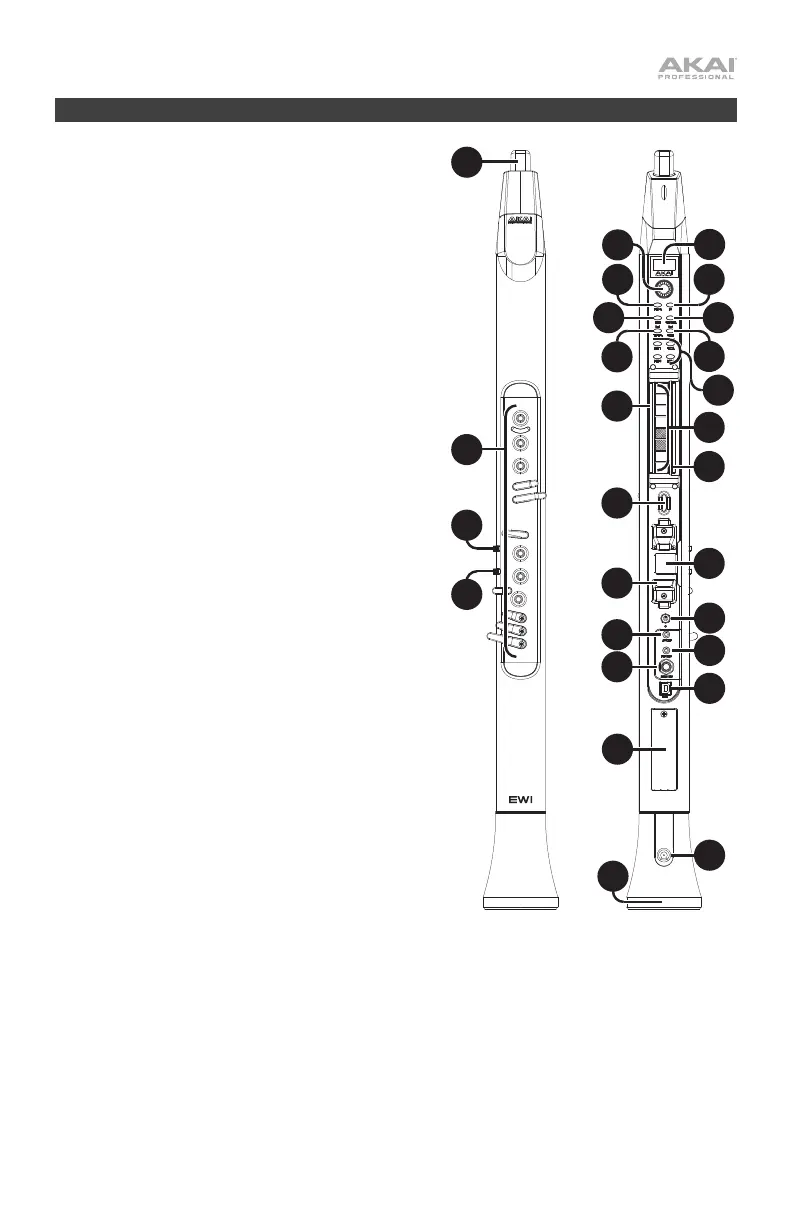 Page #13 background image