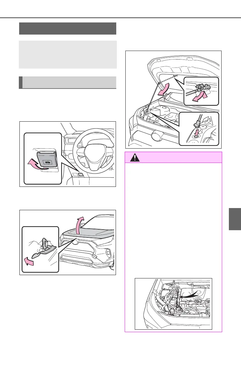 Page #457 background image