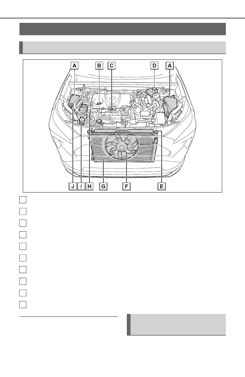 Page #460 background image