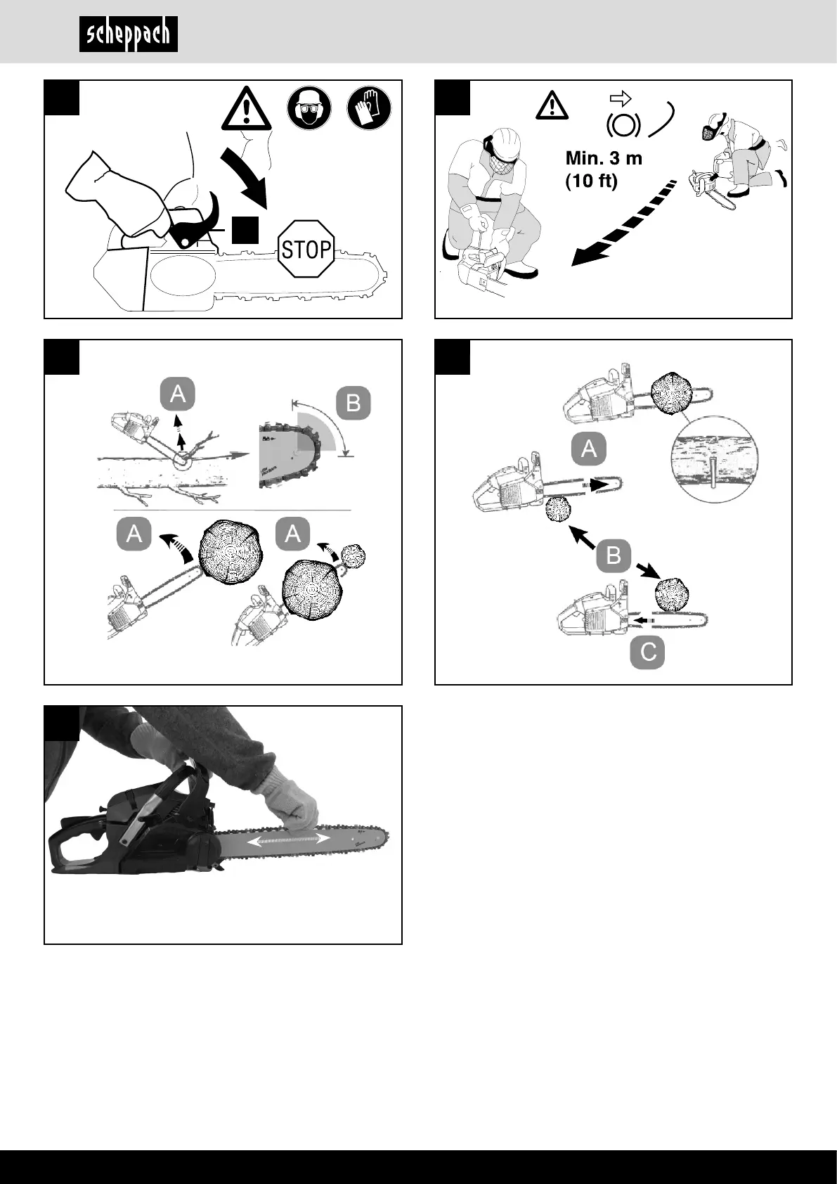 Page #6 background image